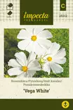 Punakosmoskukka Vega White - Kukkien ja koristeheinien siemenet - 7332756283127 - 0