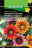 Riikinkukko kukka, lajitelma Peacock Bea - Kukkien ja koristeheinien siemenet - 5708787018397 - 0