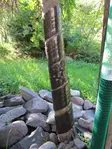 Rungonsuoja 60 cm 5 kpl/nippu ruskea - Puutarhatarvikkeet - 6416556103357 - 1