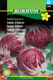 Salaattisikuri Palla Rossa 2 - Vihannesten ja yrttien siemenet - 5708787013057 - 0