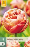 Tulppaani Copper Image 5 kpl/pkt - Tulppaanit - 8712438982507 - 1