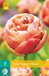 Tulppaani Copper Image 5 kpl/pkt - Tulppaanit - 8712438982507 - 2