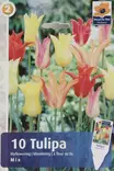 Tulppaanilajitelma liljakukkainen 6 kpl - Tulppaanit - 8711148314127 - 2