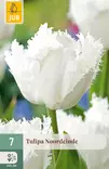 Tulppaani Noordeinde 7 kpl/pkt - Tulppaanit - 8712438988967 - 1
