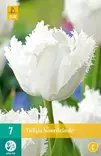 Tulppaani Noordeinde 7 kpl/pkt - Tulppaanit - 8712438988967 - 1