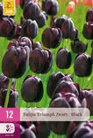 Tulppaani Triumph Black 12 kpl/pkt - Tulppaanit - 8712438998157 - 1
