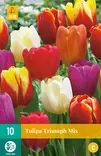 Tulppaani Triumph mix 7 kpl/pkt - Tulppaanit - 8712438503757 - 1