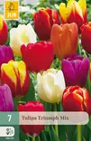 Tulppaani Triumph mix 7 kpl/pkt - Tulppaanit - 8712438503757 - 1