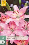 Värililja Asiatic Pink 2 kpl/pkt - Liljat - 8712438520907 - 1