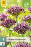 Viinilaukka Atropurpureum 5 kpl/pkt - Laukat - 8712438517037 - 1