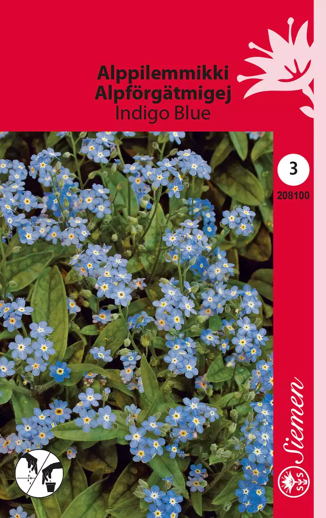 Alppilemmikki Indigo Blue - Kukkien ja koristeheinien siemenet - 6415152081007 - 0