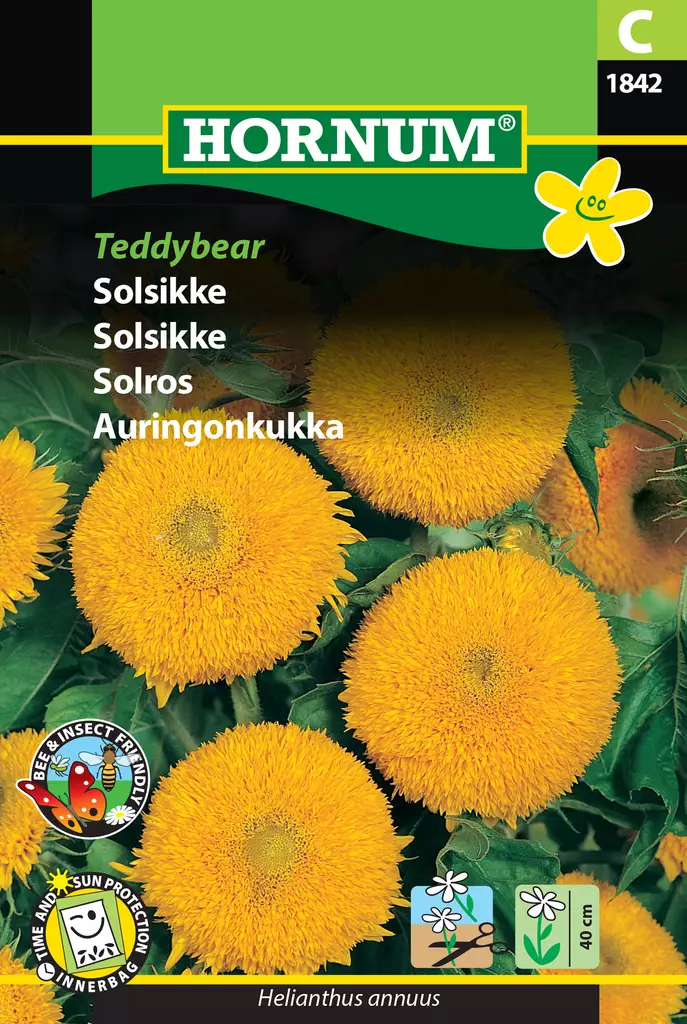 Auringonkukka Teddybear - Kukkien ja koristeheinien siemenet - 5708787018427 - 0