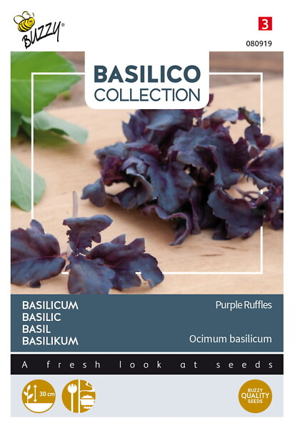 Buzzy Basilico basilika Purple Ruffles - Kukkien ja koristeheinien siemenet - 8711117809197 - 1