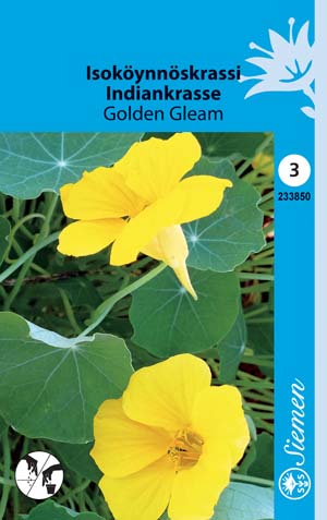 Isoköynnöskrassi Golden Gleam annos - Kukkien ja koristeheinien siemenet - 6415152338507 - 1