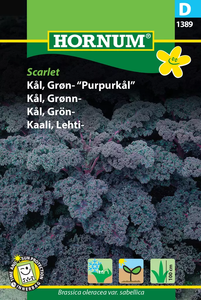 Kaali, Lehti- Scarlet - Vihannesten ja yrttien siemenet - 5708787013897 - 0