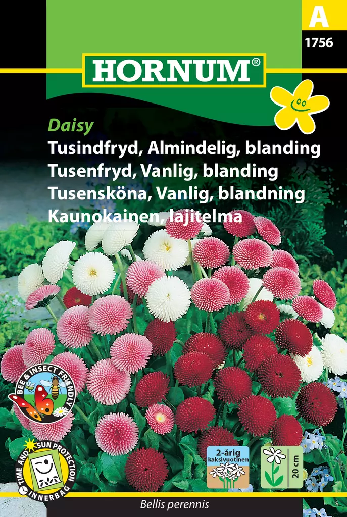 Kaunokainen, lajitelma Daisy - Kukkien ja koristeheinien siemenet - 5708787017567 - 0