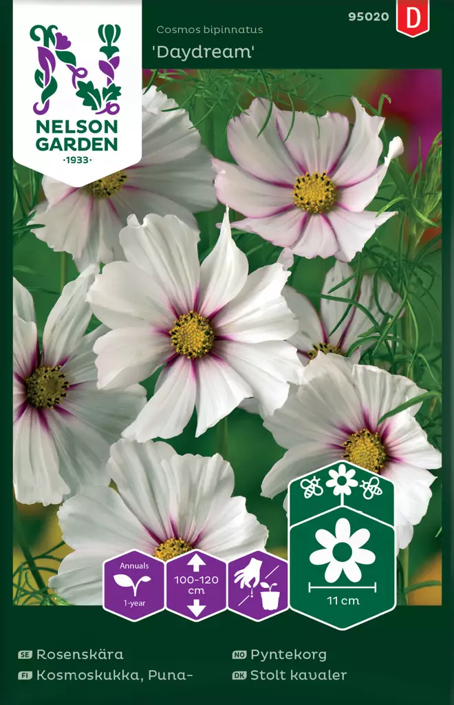 Kosmoskukka, Puna-, Daydream - Kukkien ja koristeheinien siemenet - 7312600950207 - 0