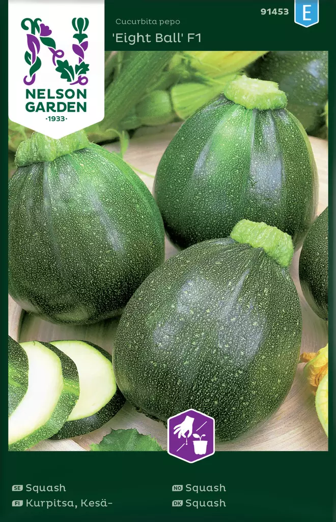 Kurpitsa, Kesä-, Eight Ball F1 - Vihannesten ja yrttien siemenet - 7312600914537 - 0