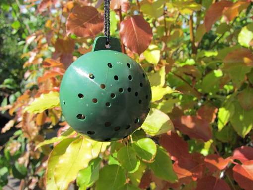 Nassut Pois -tuoksupallo 1 kpl/pkt - Eläinkarkotteet - 6430042980017 - 1