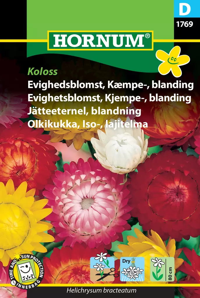 Olkikukka, Iso-, lajitelma Koloss - Kukkien ja koristeheinien siemenet - 5708787017697 - 0