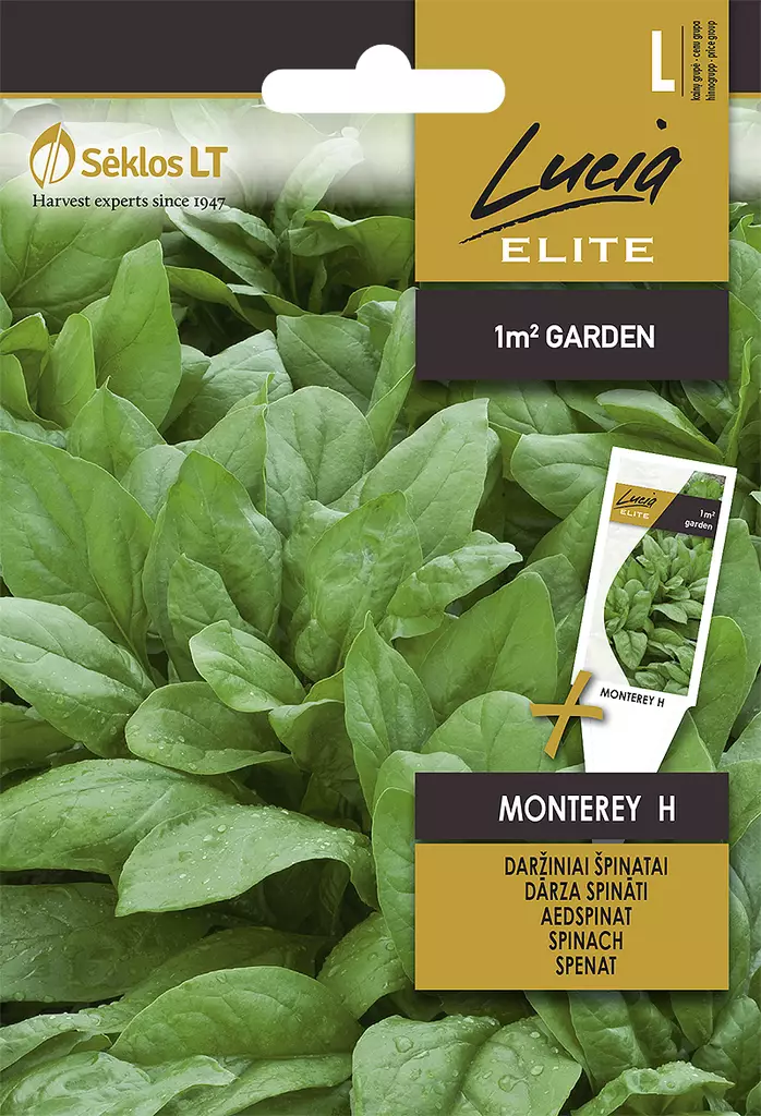 PINAATTI ELITE MONTEREY H - Vihannesten ja yrttien siemenet - 4770168913837 - 0