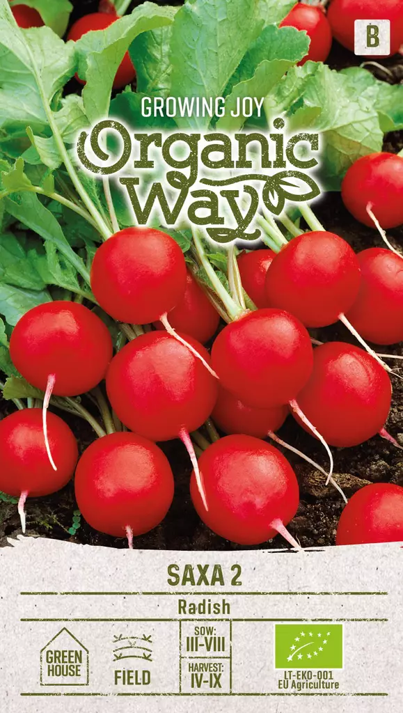 RETIISI OG SAXA 2 - Vihannesten ja yrttien siemenet - 4770168151307 - 0