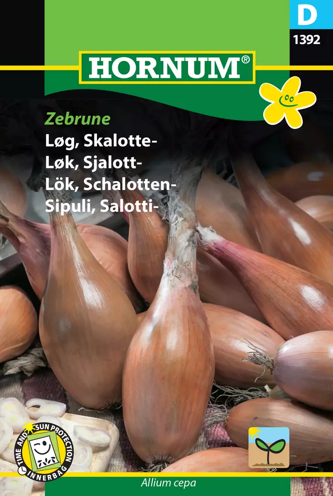 Sipuli, Salotti- Zebrune - Vihannesten ja yrttien siemenet - 5708787013927 - 0