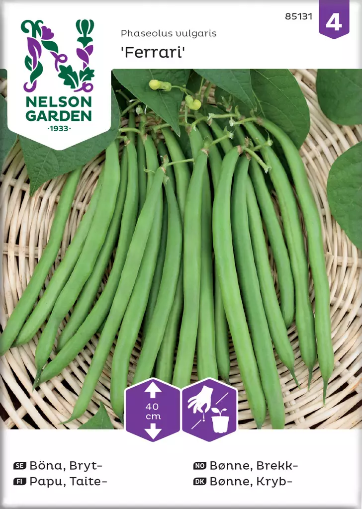 Taitepapu Ferrari matala 250 g - Vihannesten ja yrttien siemenet - 7312600611207 - 1