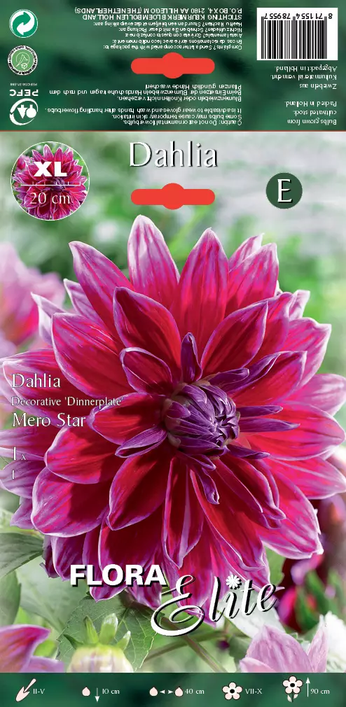 Daalia Mero Star 1 kpl/pkt - Daaliat - 8711554789557 - 1