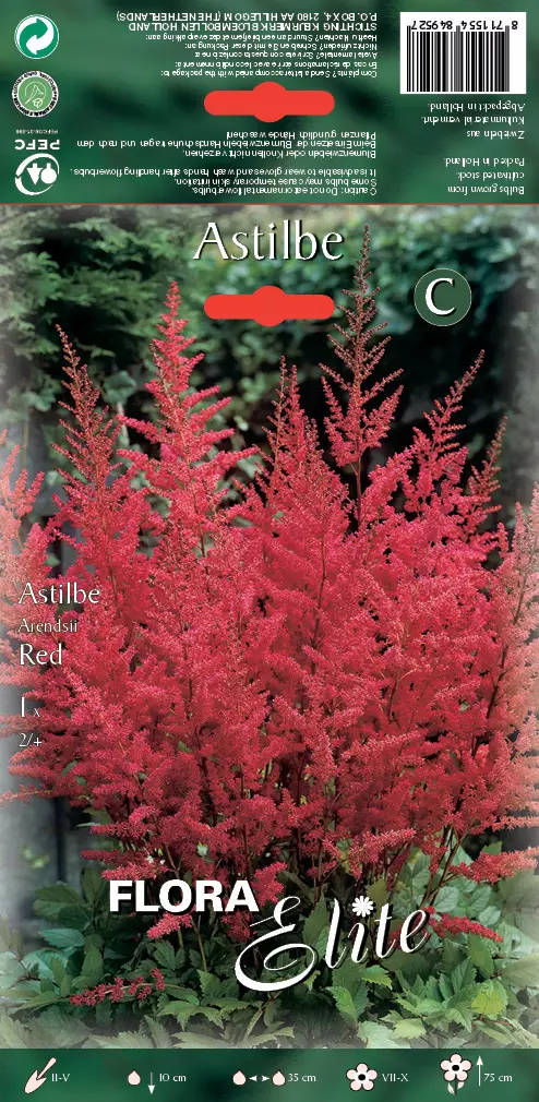 Tarhajaloangervo Red - Perennajuurakot - 8711554849527 - 1