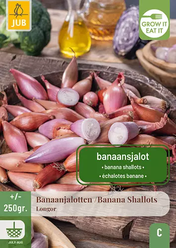 Salottisipuli Longor 250 gr - Ruokasipulit - 8720873001387 - 1