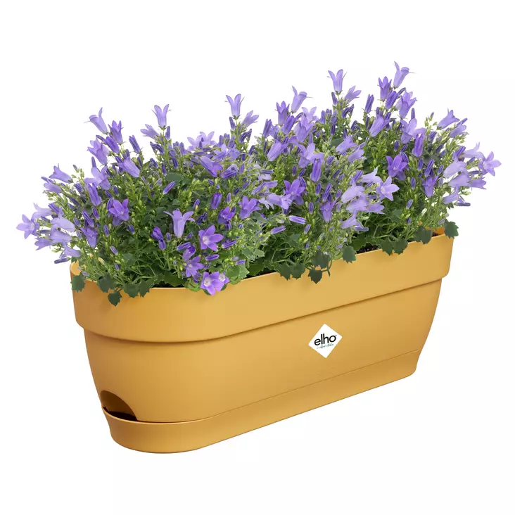 Elho Parvekelaatikko Vibia Campana 50 cm - Ruukut ja korit - 8711904521837 - 1