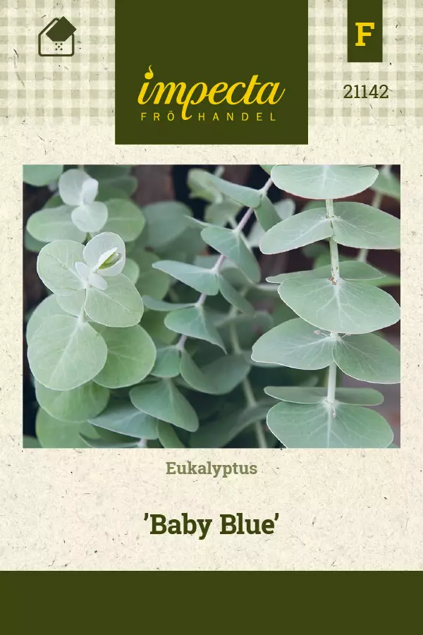 Eukalyptus - Kukkien ja koristeheinien siemenet - 7332756211427 - 0