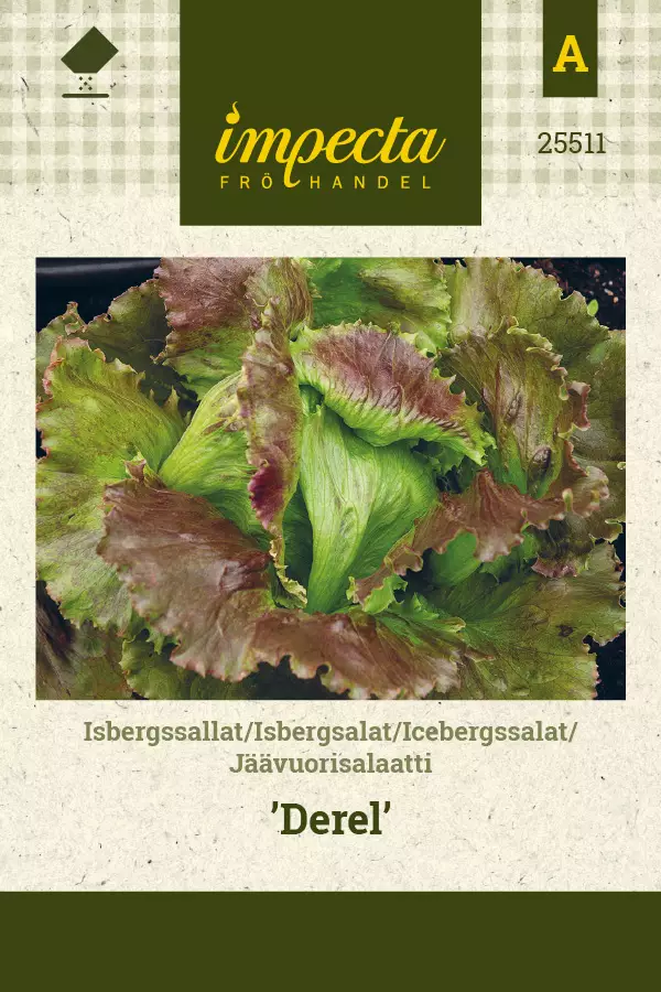 Jäävuorisalaatti Derel - Vihannesten ja yrttien siemenet - 7332756255117 - 0