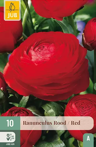 Jaloleinikki Red 10 kpl/pkt - - 8712438626357 - 1