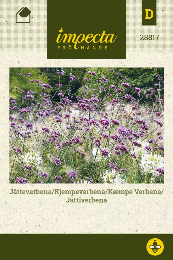 Jättiverbena - Kukkien ja koristeheinien siemenet - 7332756288177 - 0