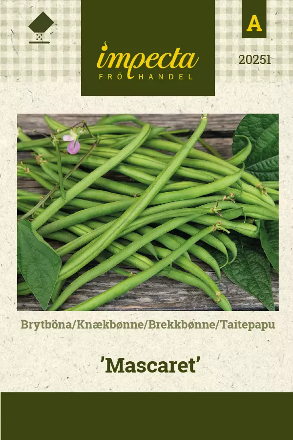 Kikherne Mascaret - Vihannesten ja yrttien siemenet - 7332756202517 - 1