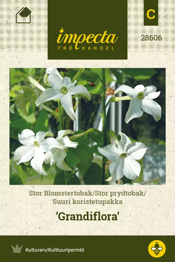 Koristetupakka Grandiflora - Kukkien ja koristeheinien siemenet - 7332756286067 - 0