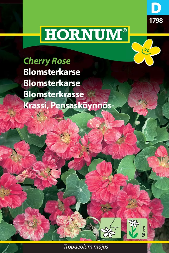 Krassi, Pensasköynnös- Cherry Rose - Kukkien ja koristeheinien siemenet - 5708787017987 - 0