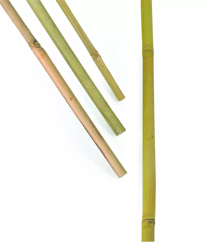 Kukkakeppi Bambu 100 cm 10 kpl/pkt - Kasvien kiinnitys ja tuenta - 7312600059207 - 1
