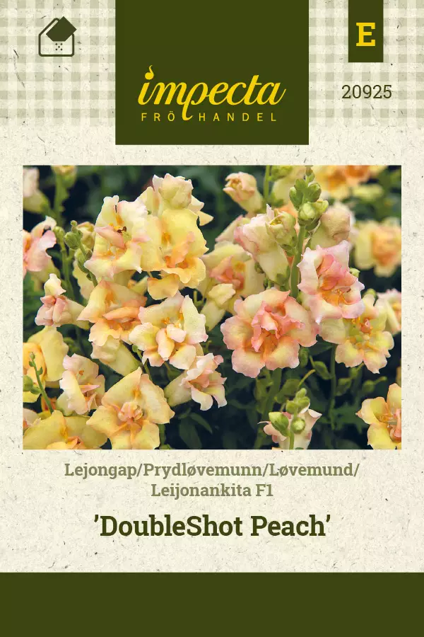 Leijonankita F1 DoubleShot Peach - Kukkien ja koristeheinien siemenet - 7332756209257 - 0