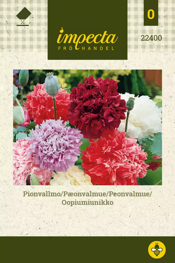 Oopiumiunikko - Kukkien ja koristeheinien siemenet - 7332756224007 - 0