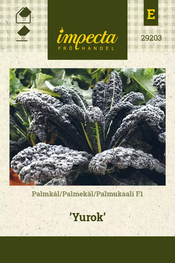 Palmukaali F1 Yurok - Vihannesten ja yrttien siemenet - 7332756292037 - 0