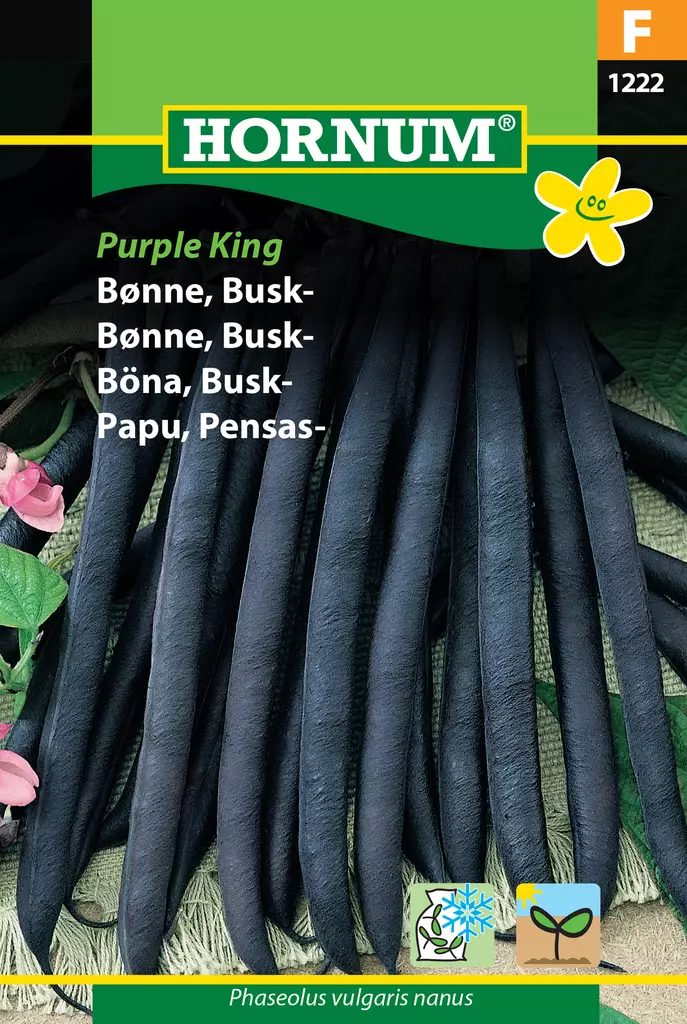 Papu, Pensas- Purple King - Vihannesten ja yrttien siemenet - 5708787012227 - 0