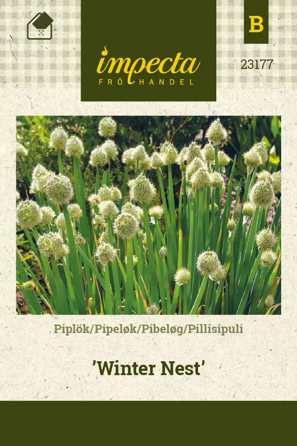 Pillisipuli Winter Nest - Vihannesten ja yrttien siemenet - 7332756231777 - 0