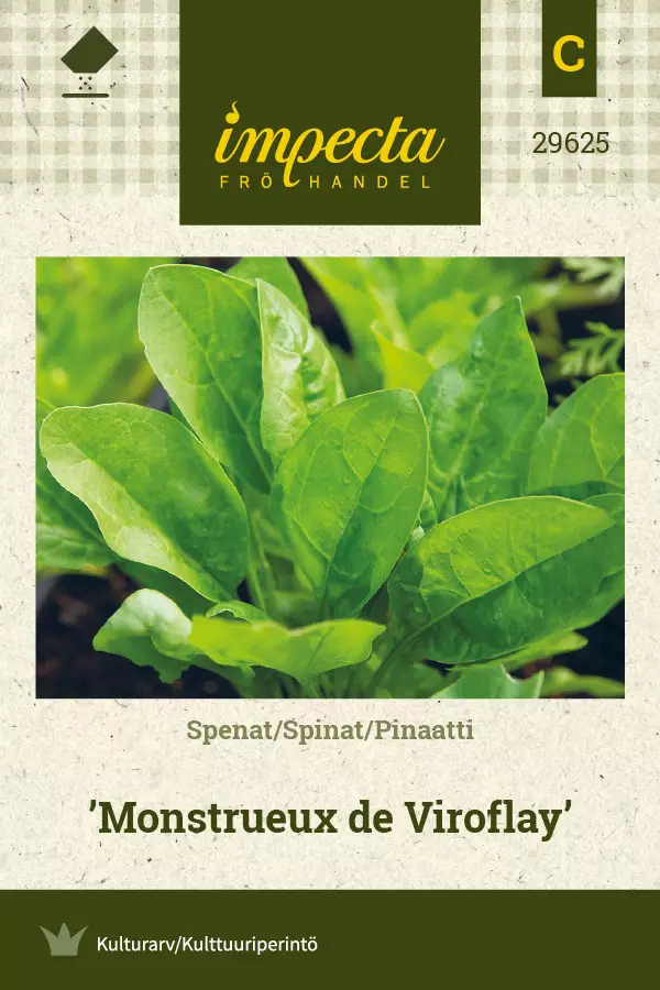 Pinaatti Monstrueux de Viroflay - Vihannesten ja yrttien siemenet - 7332756296257 - 0