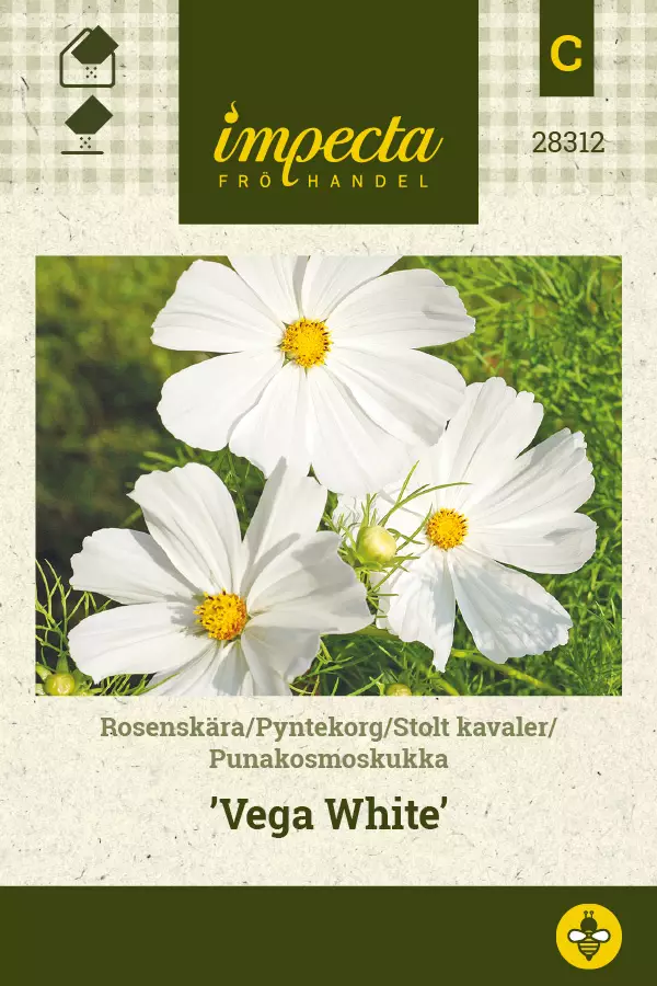 Punakosmoskukka Vega White - Kukkien ja koristeheinien siemenet - 7332756283127 - 0