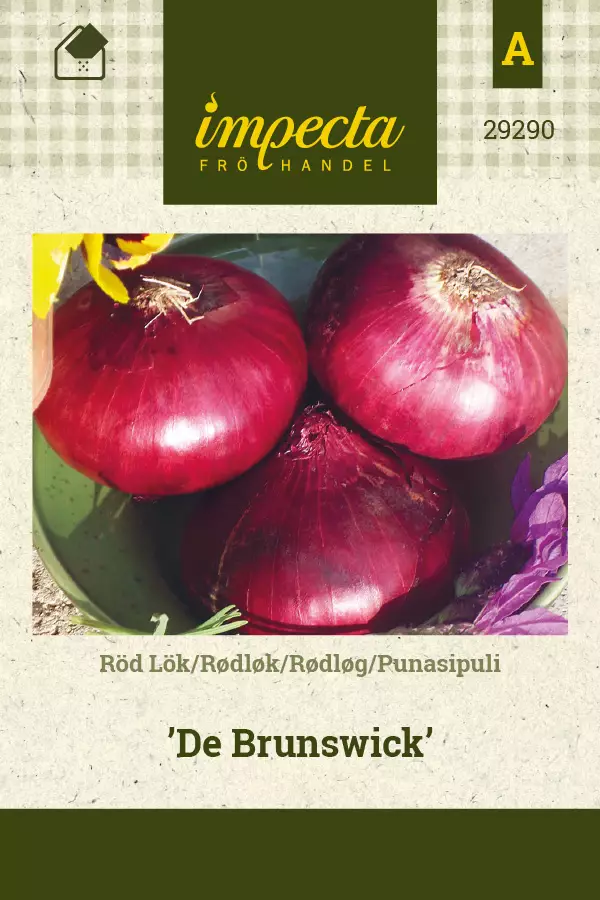 Punasipuli De Brunswick - Vihannesten ja yrttien siemenet - 7332756292907 - 0