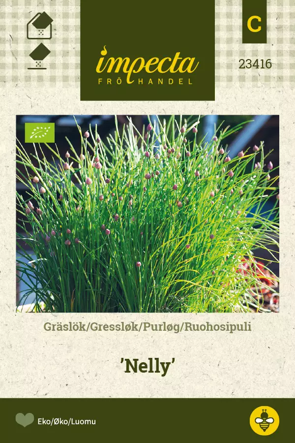 Ruohosipuli Nelly - Vihannesten ja yrttien siemenet - 7332756234167 - 0