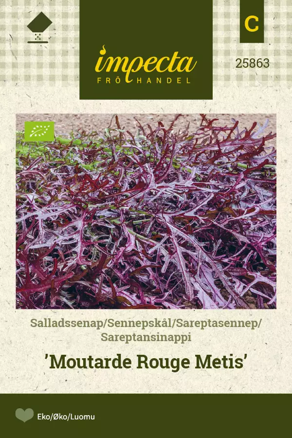 Sareptansinappi Moutarde Rouge Metis - Vihannesten ja yrttien siemenet - 7332756258637 - 0